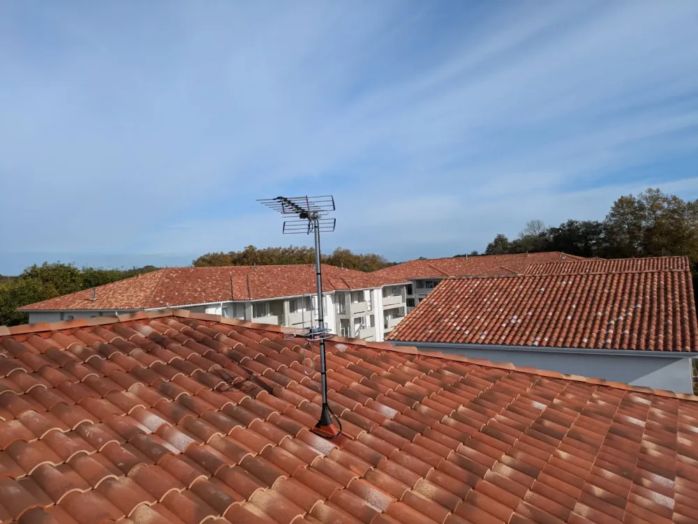 antennes colelctive